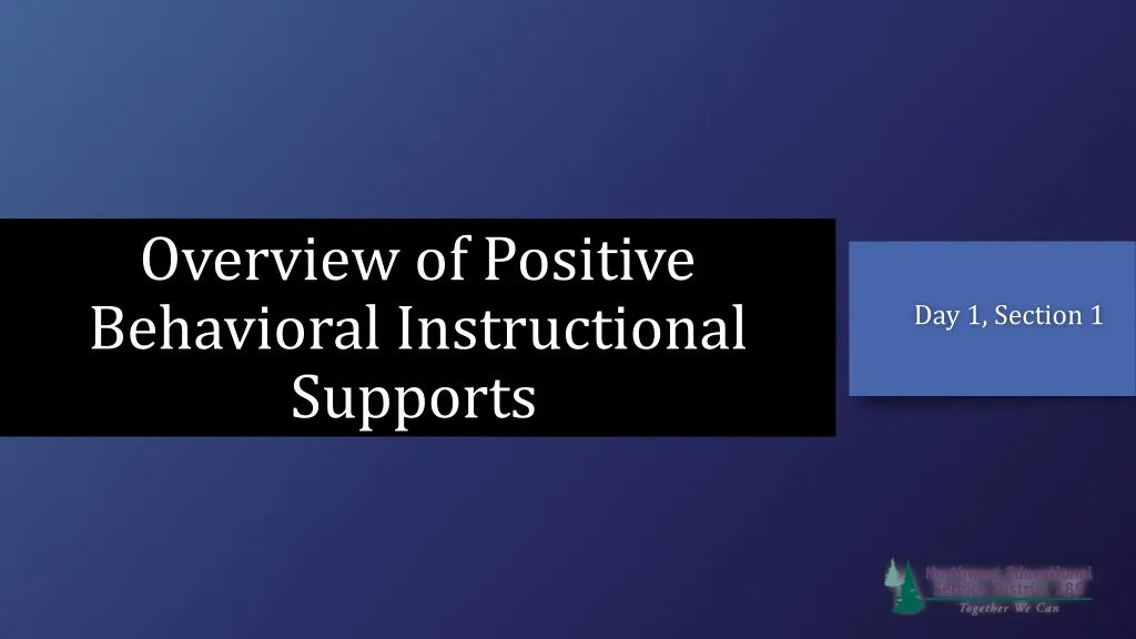 overview of positive behavioral instructional supports