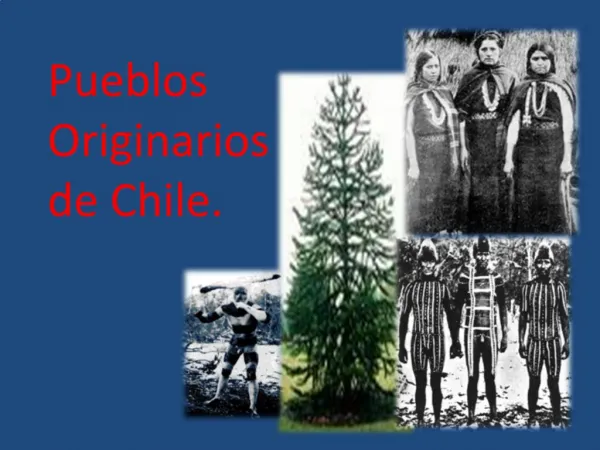 Pueblos Originarios de Chile.