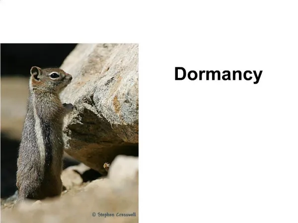 Dormancy