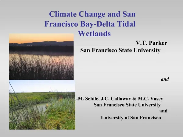 Climate Change and San Francisco Bay-Delta Tidal Wetlands