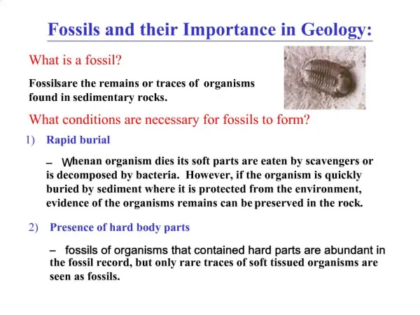 Fossils and their Importance in Geology: