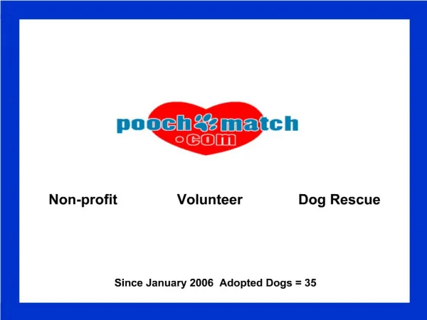 Non-profit Volunteer Dog Rescue