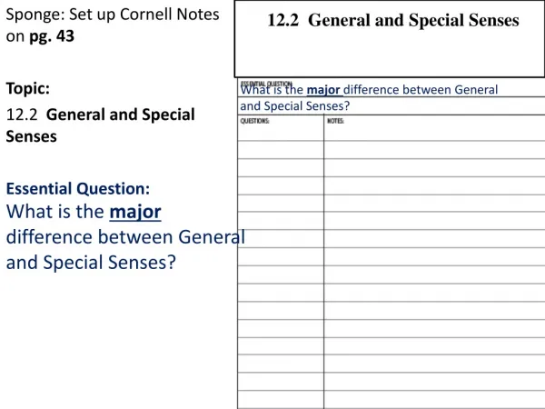 Sponge: Set up Cornell Notes on pg. 43 Topic: 12.2 General and Special Senses