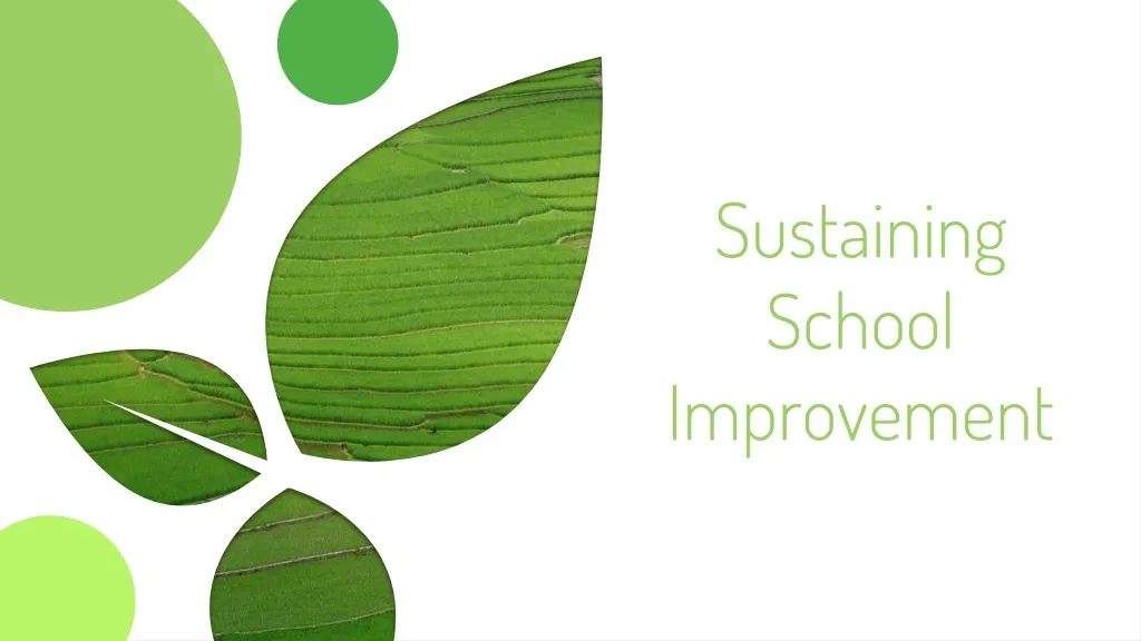 sustaining school improvement