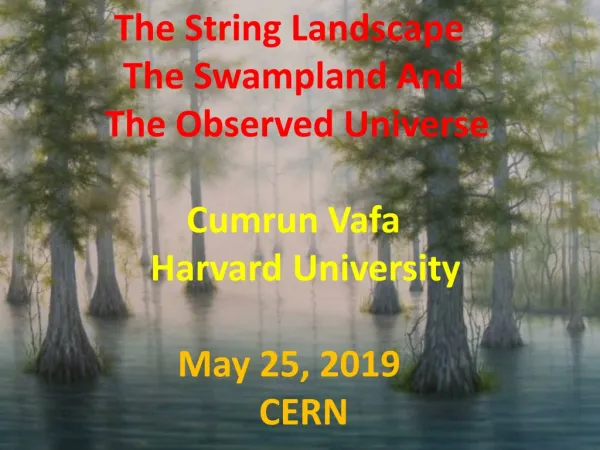 The String Landscape The Swampland And The Observed Universe