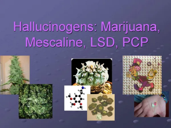 Hallucinogens: Marijuana, Mescaline, LSD, PCP