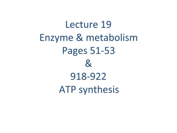 Lecture 19 Enzyme metabolism Pages 51-53 918-922 ATP synthesis