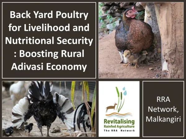 Back Yard Poultry for Livelihood and Nutritional Security : Boosting Rural Adivasi Economy
