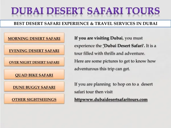 Dubai City Sightseeing & Dhow Cruises Tour