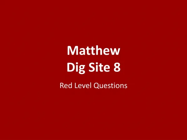 Matthew Dig Site 8
