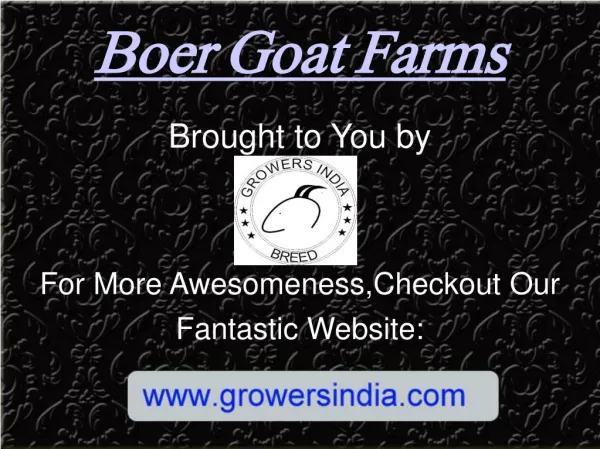 Boer Goat Farms