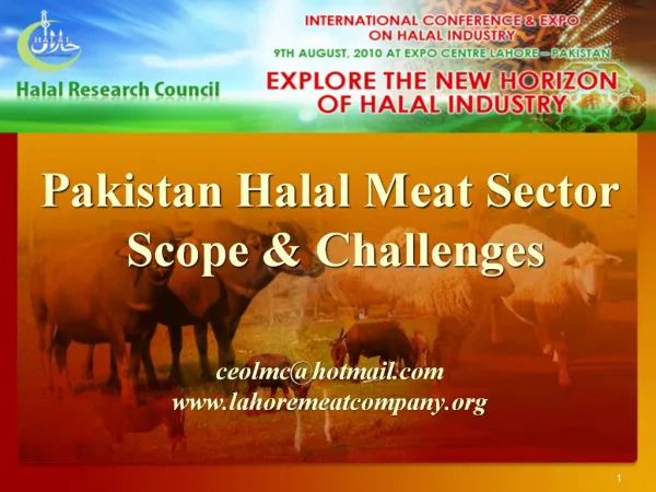 Pakistan Halal Meat Sector Scope Challenges ceolmchotmail lahoremeatcompany
