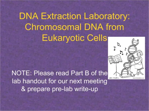DNA Extraction Laboratory: Chromosomal DNA from Eukaryotic Cells