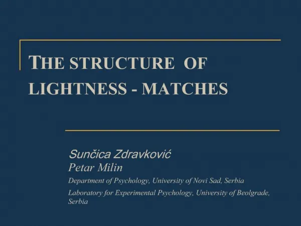 THE STRUCTURE OF LIGHTNESS - MATCHES
