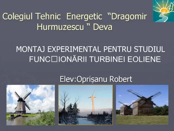 Colegiul Tehnic Energetic Dragomir Hurmuzescu Deva