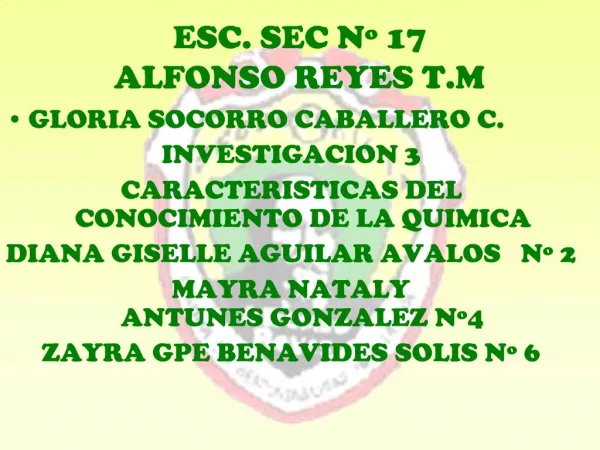 ESC. SEC N 17 ALFONSO REYES T.M