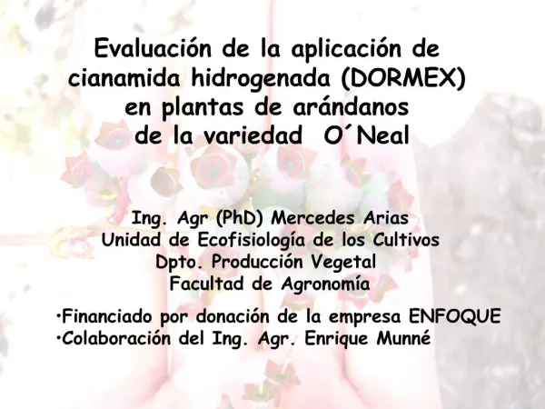Evaluaci n de la aplicaci n de cianamida hidrogenada DORMEX en plantas de ar ndanos de la variedad O Neal