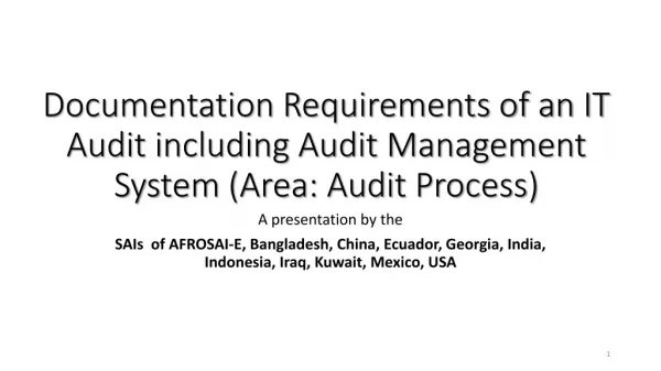 Documentation Requirements of an IT Audit including Audit Management System (Area: Audit Process)
