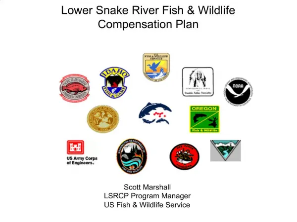 Lower Snake River Fish Wildlife Compensation Plan