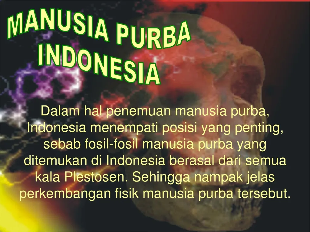 manusia purba indonesia