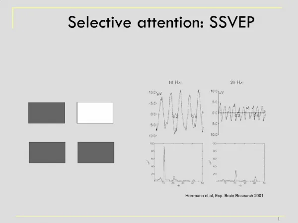 Selective attention: SSVEP