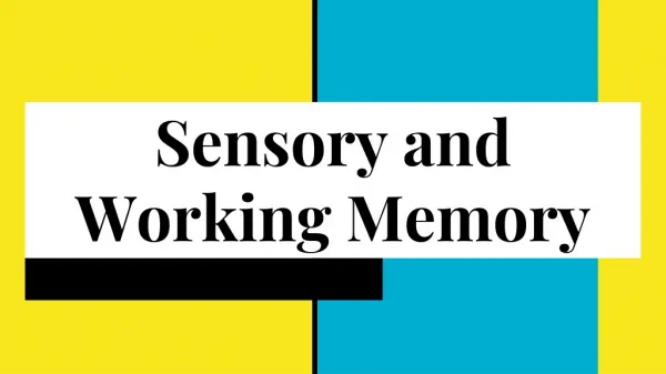 Sensory and Working Memory