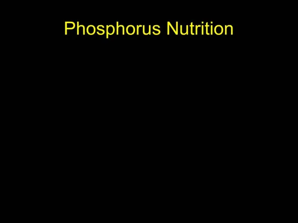 Phosphorus Nutrition