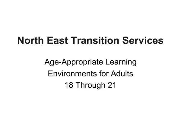 Next Stop Life: North East Transition Services NETS North East Independent School District, San Antonio, Texas 373