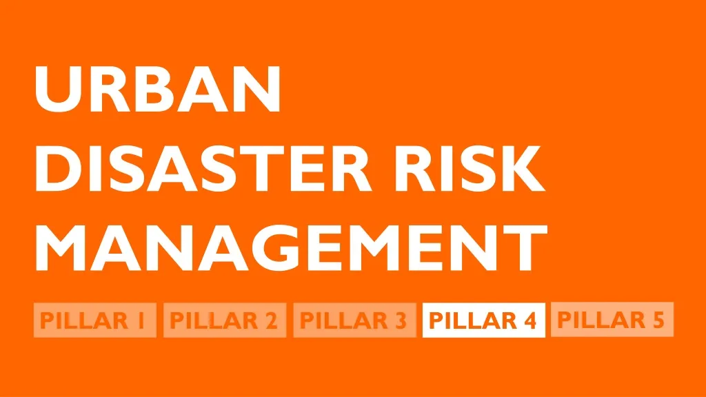 urban disaster risk management