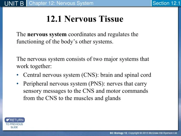 12.1 Nervous Tissue