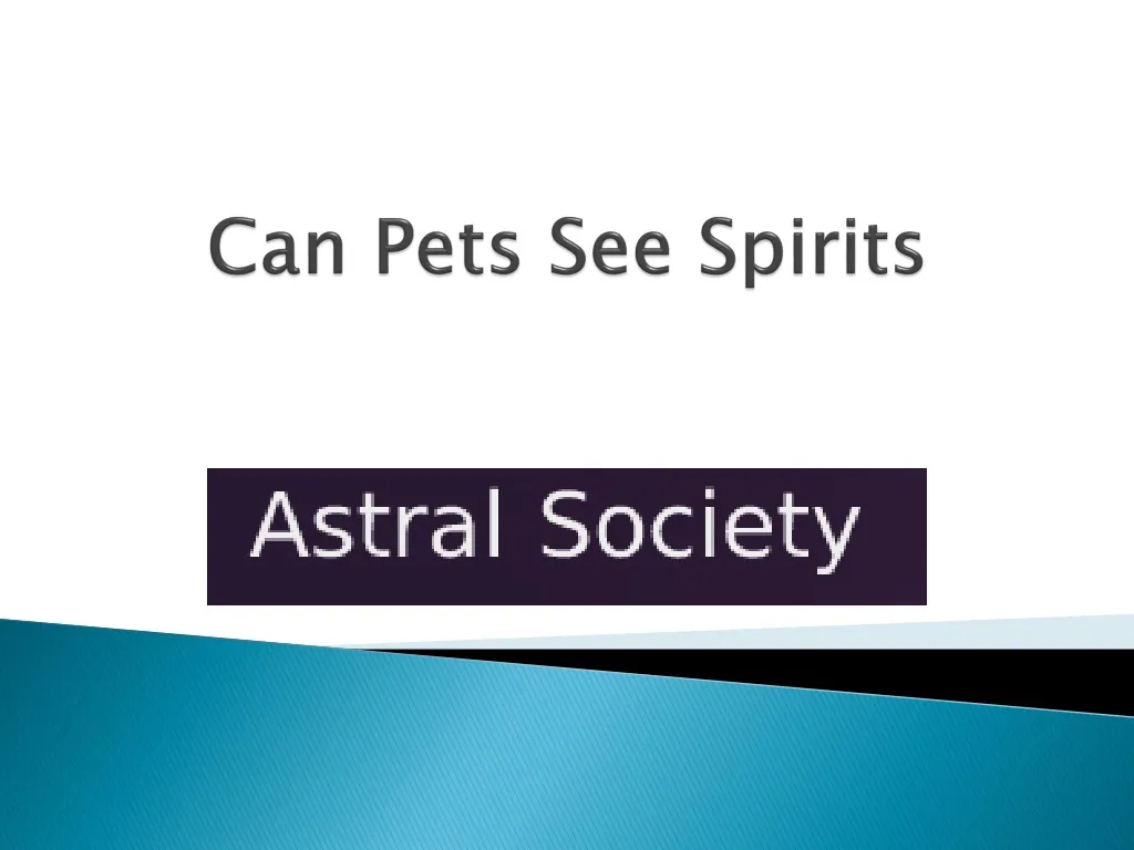 can pets see spirits