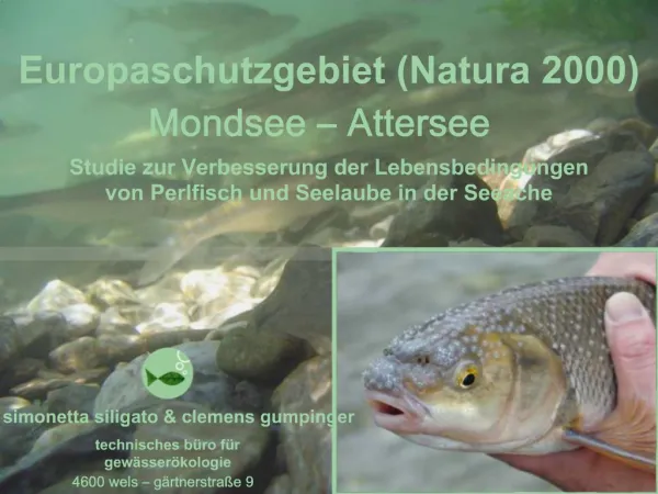 Europaschutzgebiet Natura 2000 Mondsee Attersee Studie zur Verbesserung der Lebensbedingun