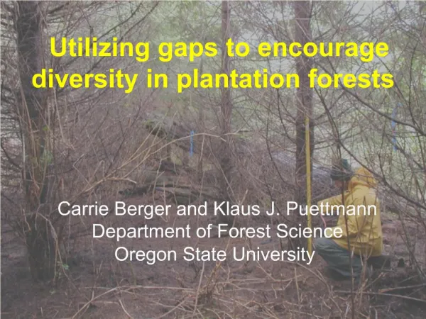 Utilizing gaps to encourage diversity in plantation forests
