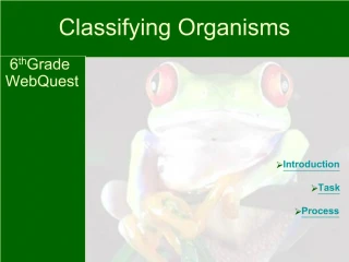 Classifying Organisms - slide 1