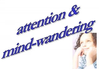 Attention mind-wandering - slide 1