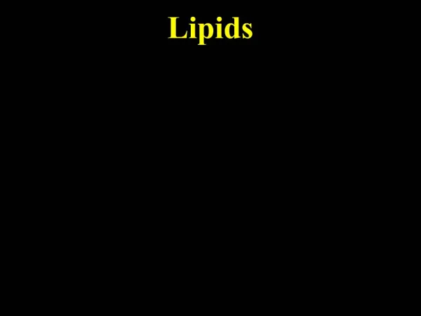 Lipids- Does this molecule make me look fat