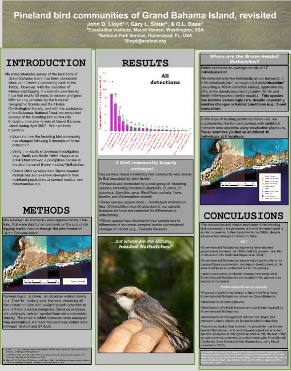 Pineland bird communities of Grand Bahama Island, revisited John D. Lloyd1,3, Gary L. Slater1, O.L. Bass2 1Ecostudies I