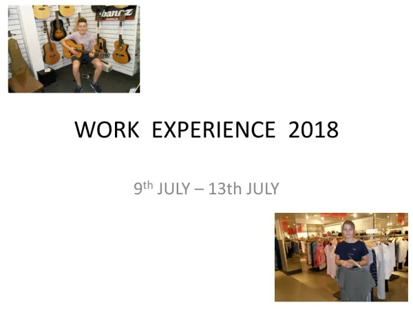 WORK EXPERIENCE 2018