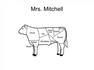 Mrs. Mitchell - slide 1