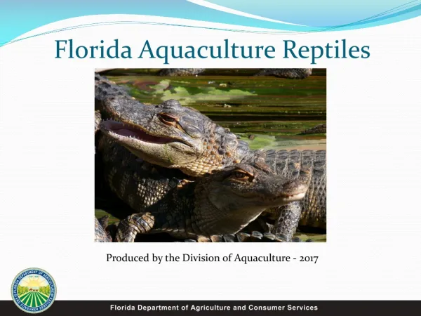 Florida Aquaculture Reptiles