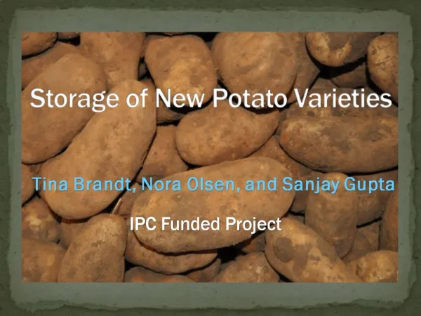 Storage of New Potato Varieties