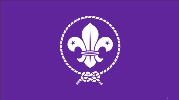 WOSM’s Capacity Strengthening approach for National Scout Organizations