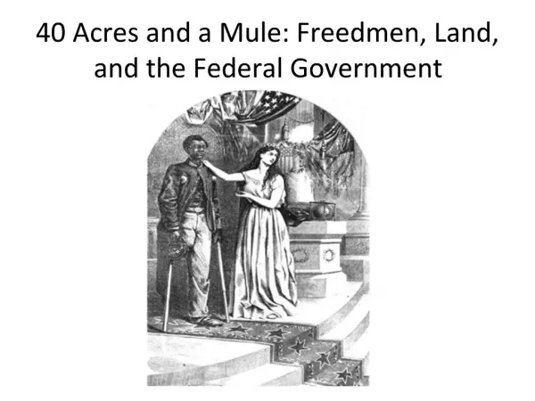 40 Acres and a Mule: Freedmen, Land, and the Federal Government