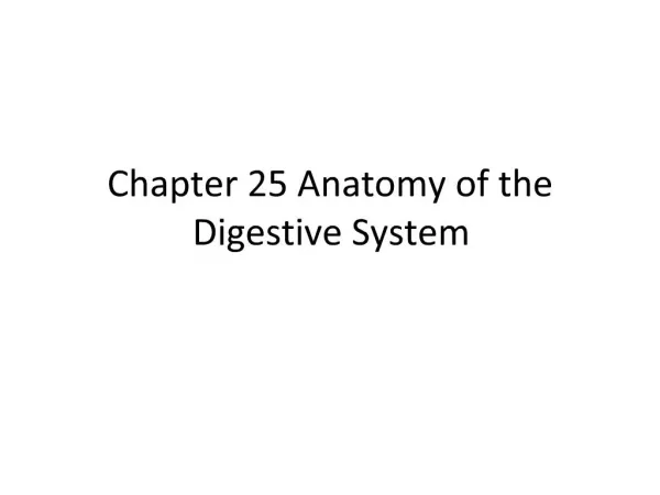 Chapter 25 Anatomy of the Digestive System
