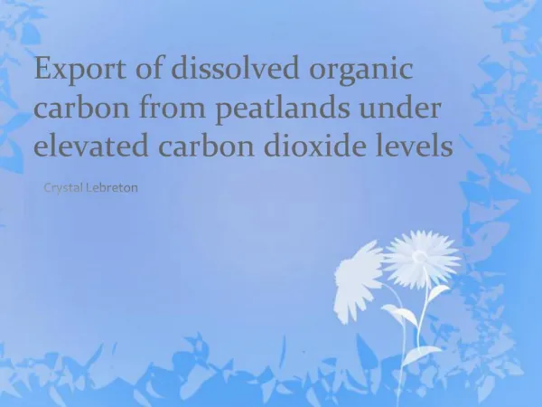 Export of dissolved organic carbon from peatlands under elevated carbon dioxide levels