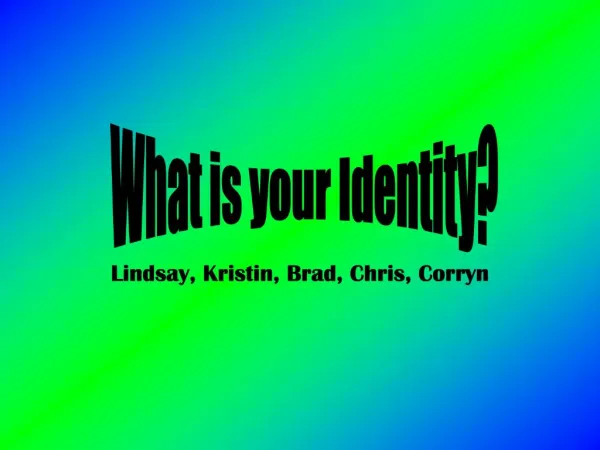 Lindsay, Kristin, Brad, Chris, Corryn