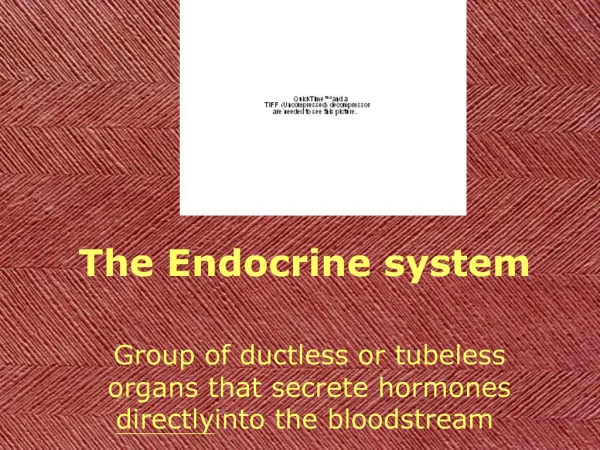 The Endocrine system