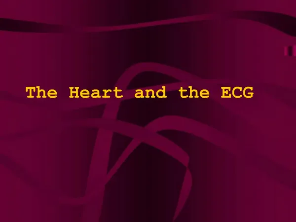 The Heart and the ECG