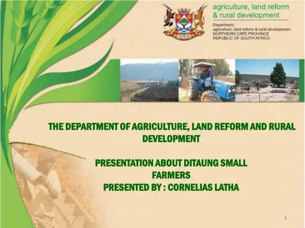 THE DEPARTMENT OF AGRICULTURE, LAND REFORM AND RURAL DEVELOPMENT