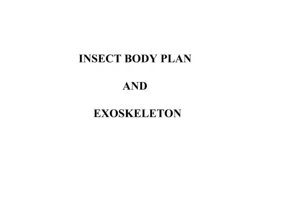 INSECT BODY PLAN AND EXOSKELETON